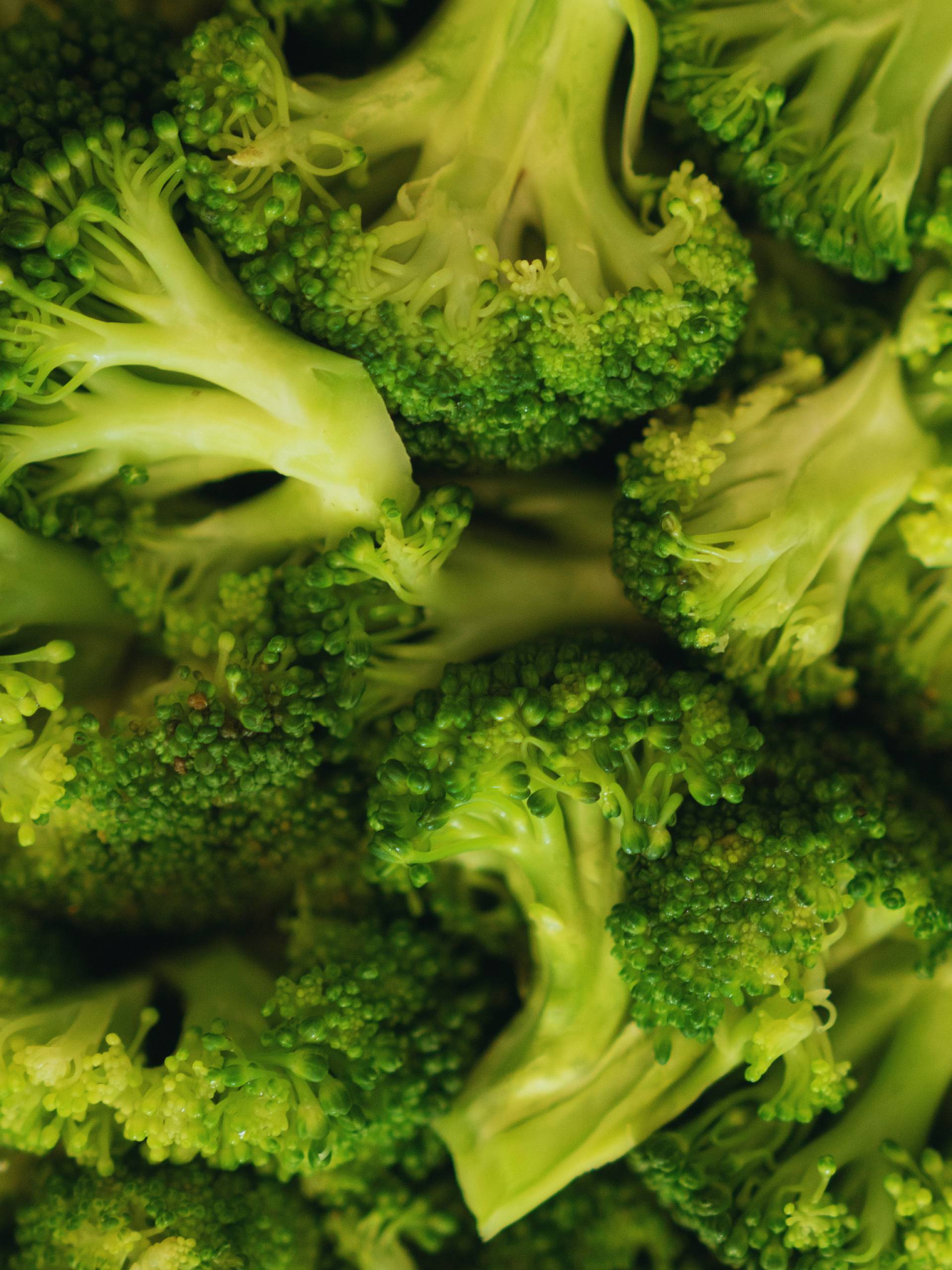 BY THE POUND: Broccoli